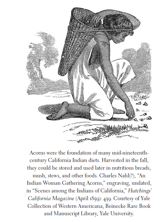 L’expansion du territoire américain vers l’Ouest et les peuples&nbsp;autochtones